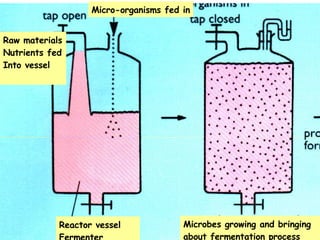 Batch Processing Raw materials Nutrients fed Into vessel Reactor vessel  Fermenter Microbes growing and bringing  about fermentation process Micro-organisms fed in 