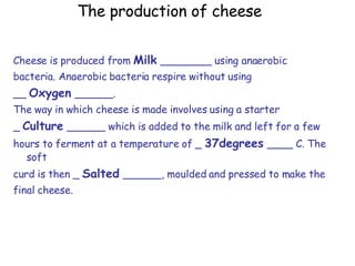 The production of cheese Cheese is produced from  Milk   ________ using anaerobic  bacteria. Anaerobic bacteria respire without using __  Oxygen   ______. The way in which cheese is made involves using a starter  _  Culture   ______ which is added to the milk and left for a few  hours to ferment at a temperature of _  37degrees   ____ C. The soft  curd is then _  Salted   ______, moulded and pressed to make the  final cheese.   