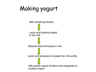 Making yogurt  Milk containing lactose  Lactic acid bacteria added to the milk  Bacteria feed off lactose in milk  Lactic acid produced increases the milk acidity  Milk protein caesin thickens and coagulates to produce yogurt  