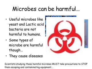 Microbes can be harmful… Useful microbes like yeast and Lactic acid bacteria are not harmful to humans. Some types of microbe are harmful though… They cause diseases Scientists studying these harmful microbes MUST take precautions to STOP them escaping and contaminating equipment…. 