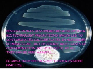 PENICILLIN WAS DISCOVERED BECAUSE OF POOR BIOTECHNOLOGY PRECAUTIONS WHICH LED TO  CONTAMINATED CULTURE PLATES IN ALEXANDER FLEMING’S LAB…..BUT OF COURSE,MOST CASES OF  CONTAMINATION ARE NOT USEFUL AT ALL… THEY CAN BE VERY HARMFUL…. EG MRSA IN HOSPITALS DUE TO POOR HYGIENE PRACTICE…. 