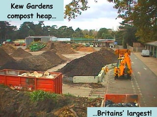 Kew Gardens compost heap… … Britains’ largest! 