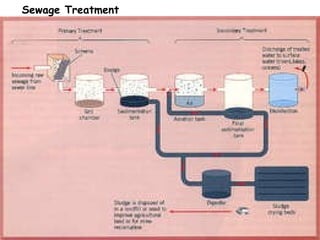 Sewage Treatment 