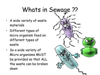 Whats in Sewage ?? A wide variety of waste materials Different types of micro organism feed on different types of waste So a wide variety of Micro organisms MUST be provided so that ALL the waste can be broken down 