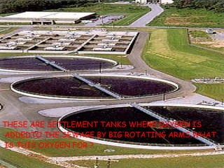THESE ARE SETTLEMENT TANKS WHERE OXYGEN IS ADDEDTO THE SEWAGE BY BIG ROTATING ARMS.WHAT IS THIS OXYGEN FOR ? 