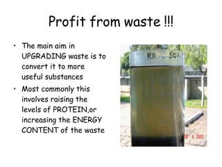 Profit from waste !!! The main aim in UPGRADING waste is to convert it to more useful substances Most commonly this involves raising the levels of PROTEIN,or increasing the ENERGY CONTENT of the waste 