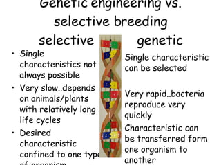 Genetic engineering vs. selective breeding selective  genetic Single characteristics not always possible Very slow..depends on animals/plants with relatively long life cycles Desired characteristic confined to one type of organism Single characteristic can be selected Very rapid..bacteria reproduce very quickly Characteristic can be transferred form one organism to another 