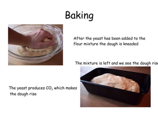 Baking After the yeast has been added to the  flour mixture the dough is kneaded The mixture is left and we see the dough rise The yeast produces CO 2  which makes the dough rise 