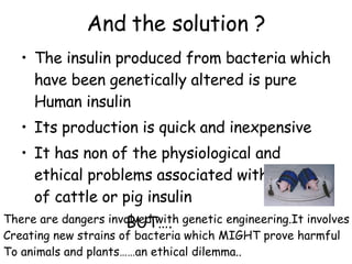 And the solution ? The insulin produced from bacteria which have been genetically altered is pure Human insulin Its production is quick and inexpensive It has non of the physiological and ethical problems associated with the use of cattle or pig insulin  BUT…. There are dangers involved with genetic engineering.It involves Creating new strains of bacteria which MIGHT prove harmful To animals and plants……an ethical dilemma.. 