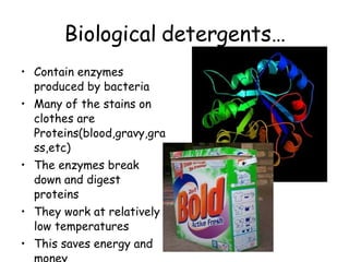 Biological detergents… Contain enzymes produced by bacteria Many of the stains on clothes are Proteins(blood,gravy,grass,etc) The enzymes break down and digest proteins They work at relatively low temperatures This saves energy and money 