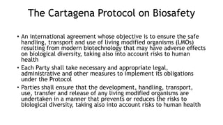The Cartagena Protocol on Biosafety
• An international agreement whose objective is to ensure the safe
handling, transport and use of living modified organisms (LMOs)
resulting from modern biotechnology that may have adverse effects
on biological diversity, taking also into account risks to human
health
• Each Party shall take necessary and appropriate legal,
administrative and other measures to implement its obligations
under the Protocol
• Parties shall ensure that the development, handling, transport,
use, transfer and release of any living modified organisms are
undertaken in a manner that prevents or reduces the risks to
biological diversity, taking also into account risks to human health
 