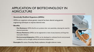 Role of Biotechnology in Food Insecurity | PPTX