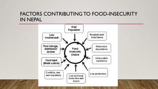 Role of Biotechnology in Food Insecurity | PPTX