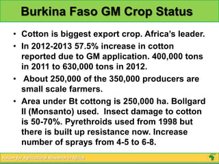 Burkina Faso GM Crop Status
     • Cotton is biggest export crop. Africa’s leader.
     • In 2012-2013 57.5% increase in cotton
       reported due to GM application. 400,000 tons
       in 2011 to 630,000 tons in 2012.
     • About 250,000 of the 350,000 producers are
       small scale farmers.
     • Area under Bt cottong is 250,000 ha. Bollgard
       II (Monsanto) used. Insect damage to cotton
       is 50-70%. Pyrethroids used from 1998 but
       there is built up resistance now. Increase
       number of sprays from 4-5 to 6-8.
Forum for Agricultural Research in Africa
 