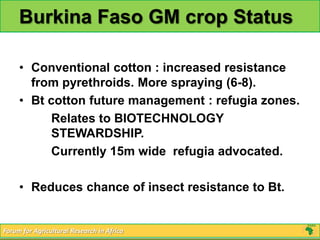 Burkina Faso GM crop Status

     • Conventional cotton : increased resistance
       from pyrethroids. More spraying (6-8).
     • Bt cotton future management : refugia zones.
           Relates to BIOTECHNOLOGY
           STEWARDSHIP.
           Currently 15m wide refugia advocated.

     • Reduces chance of insect resistance to Bt.


Forum for Agricultural Research in Africa
 