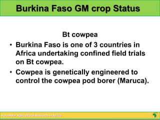Burkina Faso GM crop Status

                     Bt cowpea
     • Burkina Faso is one of 3 countries in
       Africa undertaking confined field trials
       on Bt cowpea.
     • Cowpea is genetically engineered to
       control the cowpea pod borer (Maruca).



Forum for Agricultural Research in Africa
 