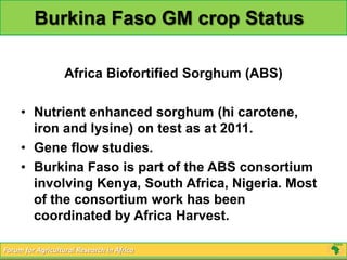 Burkina Faso GM crop Status

                   Africa Biofortified Sorghum (ABS)

     • Nutrient enhanced sorghum (hi carotene,
       iron and lysine) on test as at 2011.
     • Gene flow studies.
     • Burkina Faso is part of the ABS consortium
       involving Kenya, South Africa, Nigeria. Most
       of the consortium work has been
       coordinated by Africa Harvest.

Forum for Agricultural Research in Africa
 
