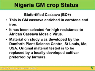 Nigeria GM crop Status
                Biofortified Cassava (BC+)
     • This is GM cassava enriched in carotene and
       iron.
     • It has been selected for high resistance to
       African Cassava Mosaic Virus.
     • Material on study was developed by the
       Danforth Plant Science Centre, St Louis, Mo,
       USA. Original material tested is to be
       replaced by a locally developed cultivar
       preferred by farmers.

Forum for Agricultural Research in Africa
 