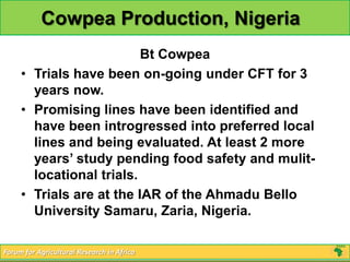Cowpea Production, Nigeria
                          Bt Cowpea
     • Trials have been on-going under CFT for 3
       years now.
     • Promising lines have been identified and
       have been introgressed into preferred local
       lines and being evaluated. At least 2 more
       years’ study pending food safety and mulit-
       locational trials.
     • Trials are at the IAR of the Ahmadu Bello
       University Samaru, Zaria, Nigeria.

Forum for Agricultural Research in Africa
 
