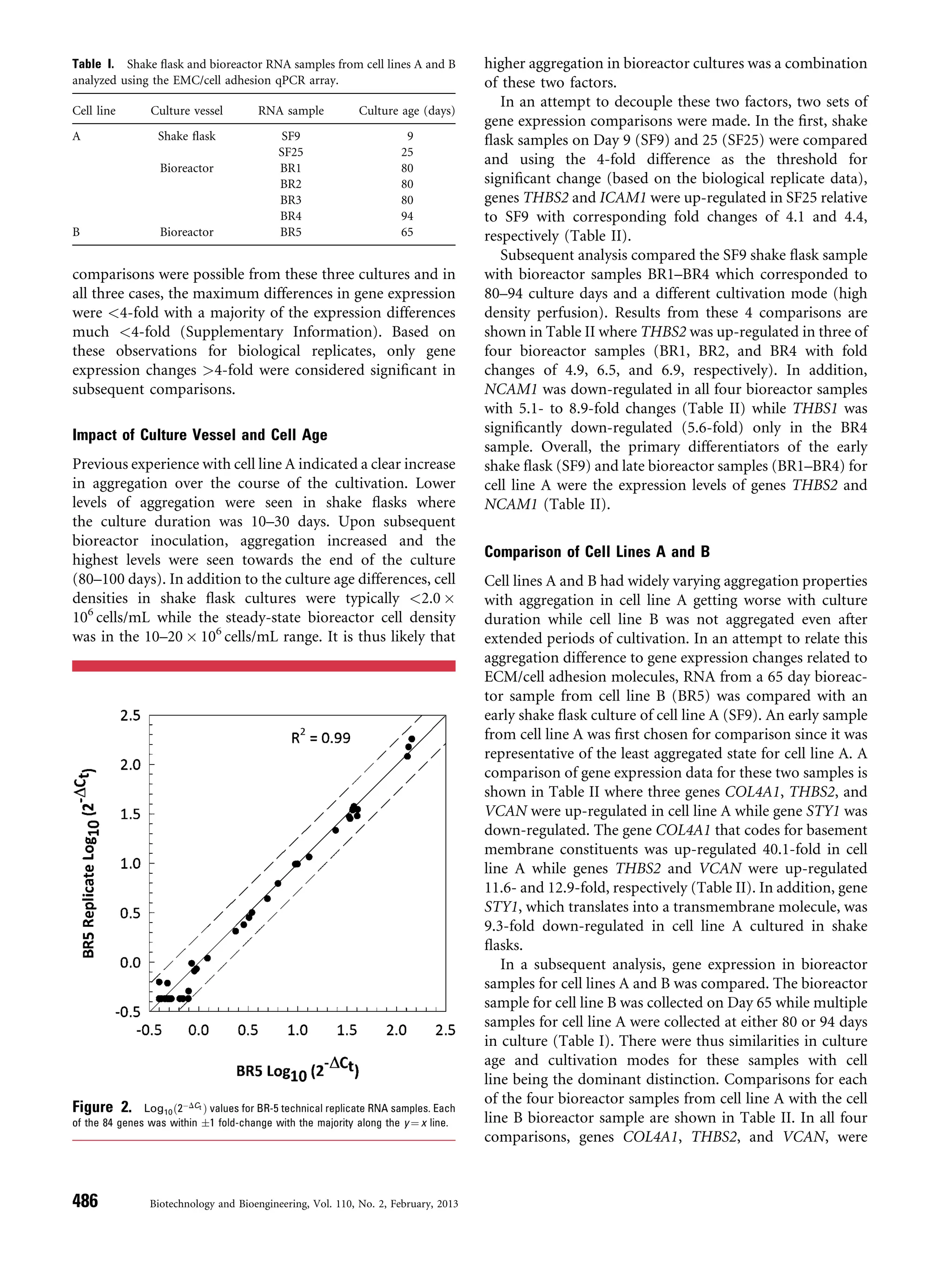 comparisons were possible from these three cultures and in
all three cases, the maximum differences in gene expression
were <4-fold with a majority of the expression differences
much <4-fold (Supplementary Information). Based on
these observations for biological replicates, only gene
expression changes >4-fold were considered signiﬁcant in
subsequent comparisons.
Impact of Culture Vessel and Cell Age
Previous experience with cell line A indicated a clear increase
in aggregation over the course of the cultivation. Lower
levels of aggregation were seen in shake ﬂasks where
the culture duration was 10–30 days. Upon subsequent
bioreactor inoculation, aggregation increased and the
highest levels were seen towards the end of the culture
(80–100 days). In addition to the culture age differences, cell
densities in shake ﬂask cultures were typically <2.0 Â
106
cells/mL while the steady-state bioreactor cell density
was in the 10–20 Â 106
cells/mL range. It is thus likely that
higher aggregation in bioreactor cultures was a combination
of these two factors.
In an attempt to decouple these two factors, two sets of
gene expression comparisons were made. In the ﬁrst, shake
ﬂask samples on Day 9 (SF9) and 25 (SF25) were compared
and using the 4-fold difference as the threshold for
signiﬁcant change (based on the biological replicate data),
genes THBS2 and ICAM1 were up-regulated in SF25 relative
to SF9 with corresponding fold changes of 4.1 and 4.4,
respectively (Table II).
Subsequent analysis compared the SF9 shake ﬂask sample
with bioreactor samples BR1–BR4 which corresponded to
80–94 culture days and a different cultivation mode (high
density perfusion). Results from these 4 comparisons are
shown in Table II where THBS2 was up-regulated in three of
four bioreactor samples (BR1, BR2, and BR4 with fold
changes of 4.9, 6.5, and 6.9, respectively). In addition,
NCAM1 was down-regulated in all four bioreactor samples
with 5.1- to 8.9-fold changes (Table II) while THBS1 was
signiﬁcantly down-regulated (5.6-fold) only in the BR4
sample. Overall, the primary differentiators of the early
shake ﬂask (SF9) and late bioreactor samples (BR1–BR4) for
cell line A were the expression levels of genes THBS2 and
NCAM1 (Table II).
Comparison of Cell Lines A and B
Cell lines A and B had widely varying aggregation properties
with aggregation in cell line A getting worse with culture
duration while cell line B was not aggregated even after
extended periods of cultivation. In an attempt to relate this
aggregation difference to gene expression changes related to
ECM/cell adhesion molecules, RNA from a 65 day bioreac-
tor sample from cell line B (BR5) was compared with an
early shake ﬂask culture of cell line A (SF9). An early sample
from cell line A was ﬁrst chosen for comparison since it was
representative of the least aggregated state for cell line A. A
comparison of gene expression data for these two samples is
shown in Table II where three genes COL4A1, THBS2, and
VCAN were up-regulated in cell line A while gene STY1 was
down-regulated. The gene COL4A1 that codes for basement
membrane constituents was up-regulated 40.1-fold in cell
line A while genes THBS2 and VCAN were up-regulated
11.6- and 12.9-fold, respectively (Table II). In addition, gene
STY1, which translates into a transmembrane molecule, was
9.3-fold down-regulated in cell line A cultured in shake
ﬂasks.
In a subsequent analysis, gene expression in bioreactor
samples for cell lines A and B was compared. The bioreactor
sample for cell line B was collected on Day 65 while multiple
samples for cell line A were collected at either 80 or 94 days
in culture (Table I). There were thus similarities in culture
age and cultivation modes for these samples with cell
line being the dominant distinction. Comparisons for each
of the four bioreactor samples from cell line A with the cell
line B bioreactor sample are shown in Table II. In all four
comparisons, genes COL4A1, THBS2, and VCAN, were
Table I. Shake ﬂask and bioreactor RNA samples from cell lines A and B
analyzed using the EMC/cell adhesion qPCR array.
Cell line Culture vessel RNA sample Culture age (days)
A Shake ﬂask SF9 9
SF25 25
Bioreactor BR1 80
BR2 80
BR3 80
BR4 94
B Bioreactor BR5 65
Figure 2. Log10ð2ÀDCt Þ values for BR-5 technical replicate RNA samples. Each
of the 84 genes was within Æ1 fold-change with the majority along the y ¼ x line.
486 Biotechnology and Bioengineering, Vol. 110, No. 2, February, 2013
 