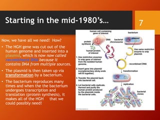 Starting in the mid-1980’s…
Now, we have all we need! How?
• The HGH gene was cut out of the
human genome and inserted into a
plasmid, which is now now called
recombinant DNA because it
contains DNA from multiple sources.
• The plasmid is then taken up via
transformation by a bacterium.
• The bacterium reproduces many
times and when the the bacterium
undergoes transcription and
translation (protein synthesis), it
makes all of the HGH that we
could possibly need!
7
 