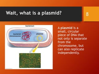 Wait, what is a plasmid?
A plasmid is a
small, circular
piece of DNA that
not only is separate
from the
chromosome, but
can also replicate
independently.
8
 