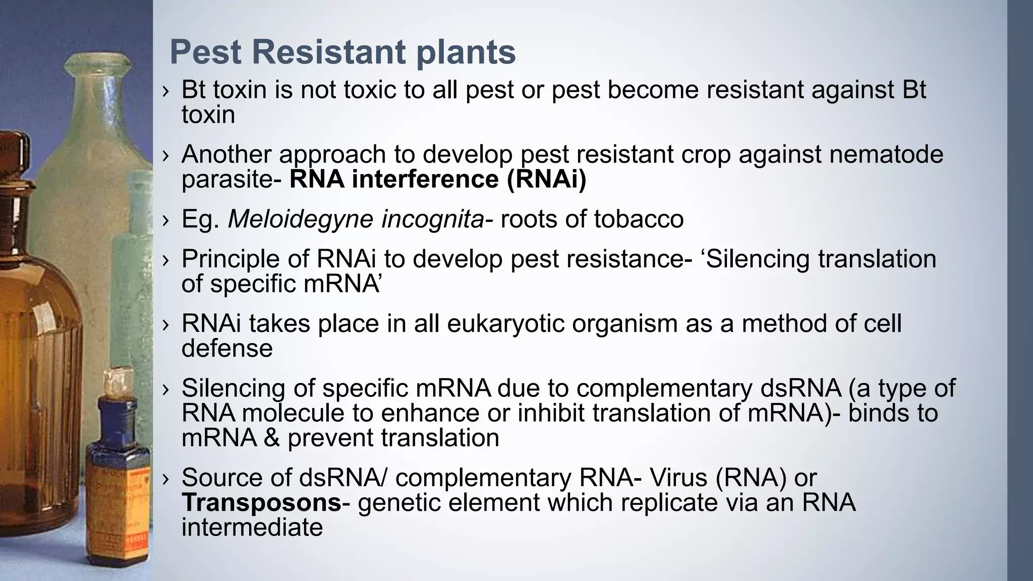 Pest Resistant plants
› Bt toxin is not toxic to all pest or pest become resistant against Bt
toxin
› Another approach to develop pest resistant crop against nematode
parasite- RNA interference (RNAi)
› Eg. Meloidegyne incognita- roots of tobacco
› Principle of RNAi to develop pest resistance- ‘Silencing translation
of specific mRNA’
› RNAi takes place in all eukaryotic organism as a method of cell
defense
› Silencing of specific mRNA due to complementary dsRNA (a type of
RNA molecule to enhance or inhibit translation of mRNA)- binds to
mRNA & prevent translation
› Source of dsRNA/ complementary RNA- Virus (RNA) or
Transposons- genetic element which replicate via an RNA
intermediate
 