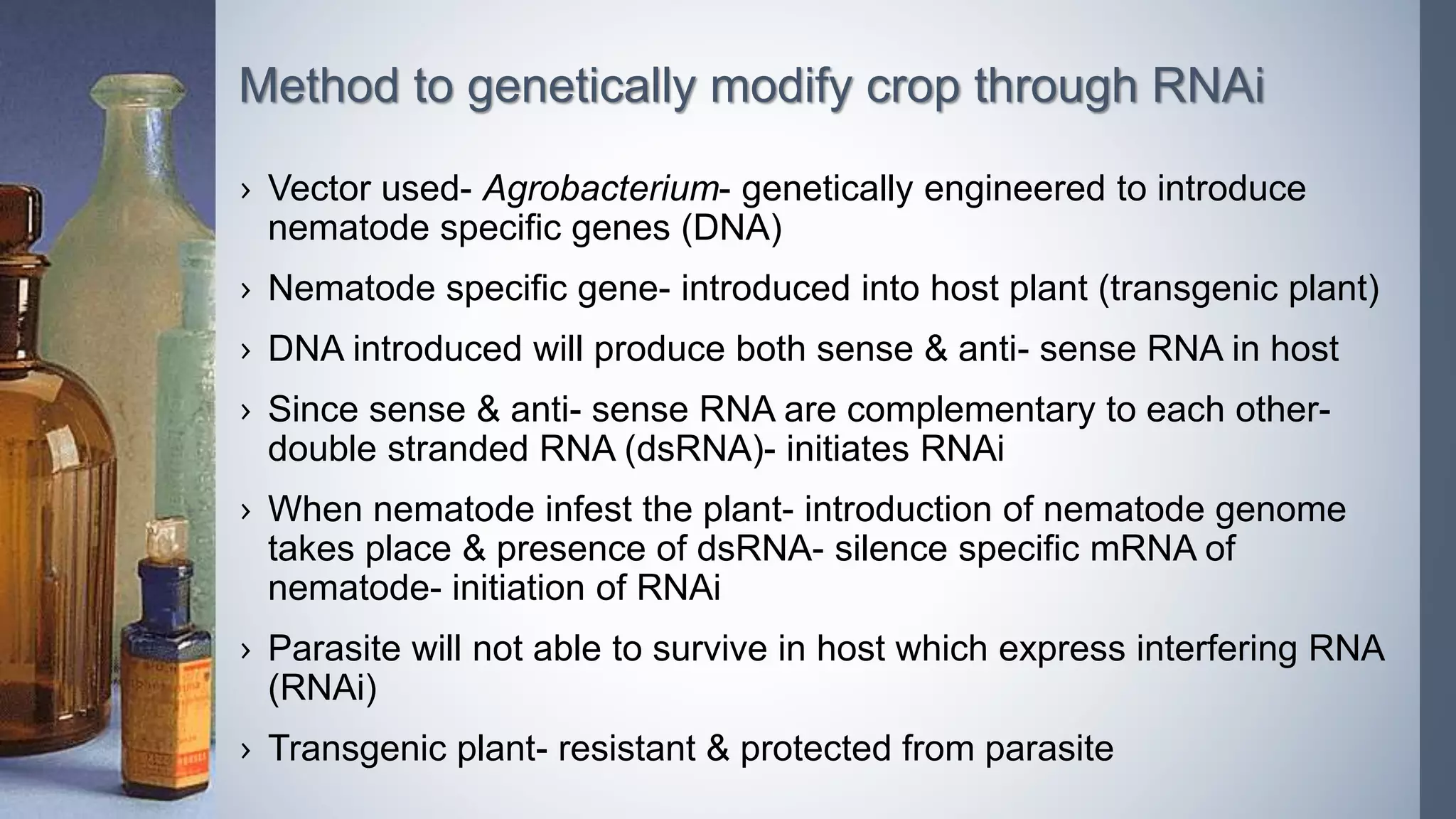 › Vector used- Agrobacterium- genetically engineered to introduce
nematode specific genes (DNA)
› Nematode specific gene- introduced into host plant (transgenic plant)
› DNA introduced will produce both sense & anti- sense RNA in host
› Since sense & anti- sense RNA are complementary to each other-
double stranded RNA (dsRNA)- initiates RNAi
› When nematode infest the plant- introduction of nematode genome
takes place & presence of dsRNA- silence specific mRNA of
nematode- initiation of RNAi
› Parasite will not able to survive in host which express interfering RNA
(RNAi)
› Transgenic plant- resistant & protected from parasite
Method to genetically modify crop through RNAi
 