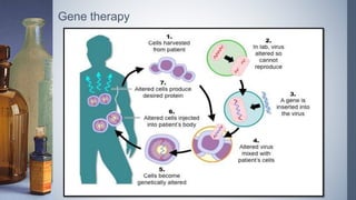 Biotechnology and its application ppt, Grade 12 CBSE | PPSX