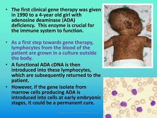 • The first clinical gene therapy was given
in 1990 to a 4-year old girl with
adenosine deaminase (ADA)
deficiency. This enzyme is crucial for
the immune system to function.
• As a first step towards gene therapy,
lymphocytes from the blood of the
patient are grown in a culture outside
the body.
• A functional ADA cDNA is then
introduced into these lymphocytes,
which are subsequently returned to the
patient.
• However, if the gene isolate from
marrow cells producing ADA is
introduced into cells at early embryonic
stages, it could be a permanent cure.
Slides prepared by: Muralidhar Shingri
 