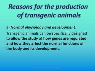 a) Normal physiology and development:
Transgenic animals can be specifically designed
to allow the study of how genes are regulated
and how they affect the normal functions of
the body and its development.
Slides prepared by: Muralidhar Shingri
 