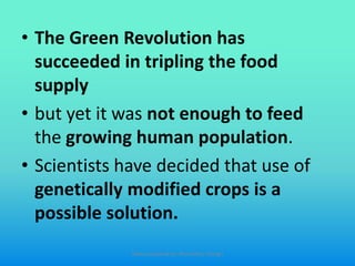 • The Green Revolution has
succeeded in tripling the food
supply
• but yet it was not enough to feed
the growing human population.
• Scientists have decided that use of
genetically modified crops is a
possible solution.
Slides prepared by: Muralidhar Shingri
 