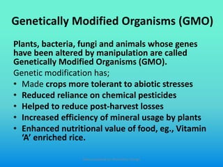 Genetically Modified Organisms (GMO)
Plants, bacteria, fungi and animals whose genes
have been altered by manipulation are called
Genetically Modified Organisms (GMO).
Genetic modification has;
• Made crops more tolerant to abiotic stresses
• Reduced reliance on chemical pesticides
• Helped to reduce post-harvest losses
• Increased efficiency of mineral usage by plants
• Enhanced nutritional value of food, eg., Vitamin
‘A’ enriched rice.
Slides prepared by: Muralidhar Shingri
 
