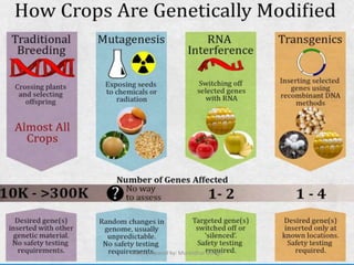 Slides prepared by: Muralidhar Shingri
 