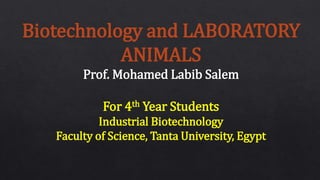 Biotechnology and LABORATORY
ANIMALS
Prof. Mohamed Labib Salem
For 4th Year Students
Industrial Biotechnology
Faculty of Science, Tanta University, Egypt
 