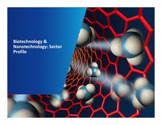 Biotechnology & 
Nanotechnology: Sector 
Profile 
1 
 