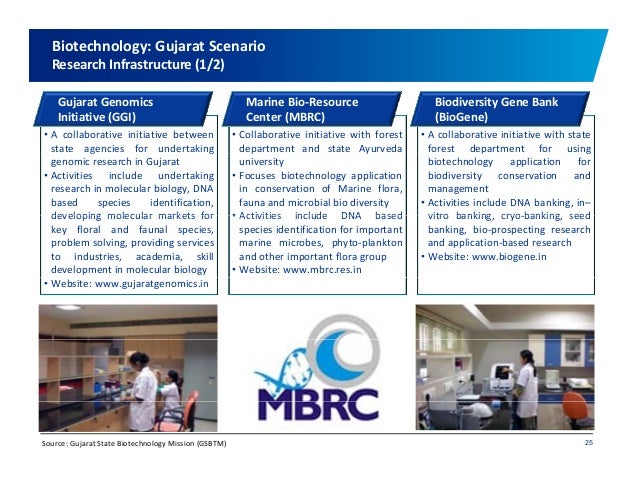 business skills essay grade 12 presentation