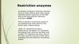 Restriction enzymes
As already mentioned, restriction enzymes
serve to cleave DNA at given sites having
identified specific sequences of the DNA.
One of the most common restriction
enzymes is EcoRI.
There is bacteria named Ecoli present in
our intestine that make Vitamin K the
further help in Blood clotting
letter "E" represents the genus
(Escherichia), the letters "co" represents
the species (coli) while the last letter and
number "RI" represent the strain. One of
the other common enzymes is PstI which
originates from the bacterium Providencia
stuartii
 