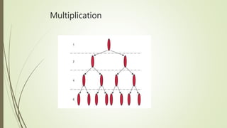Multiplication
 