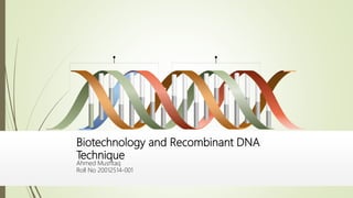 Biotechnology and Recombinant DNA
Technique
Ahmed Mushtaq
Roll No 20012514-001
 