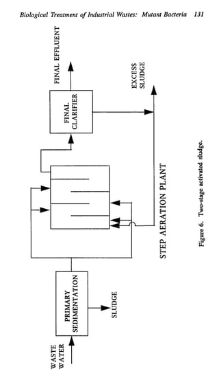 Biological Treatment o
f Industrial Wastes: Mutant Bacteria 131
rt d
e
M
-a
r
A
B
cd
0
cd
.2
Y
 