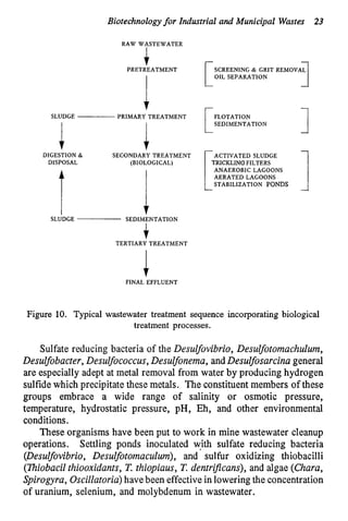 Biotechnologyfor Industrial and Municipal Wastes 23
RAW WASTEWATER
i
PRETREATMENT
SLUDGE PRIMARY TREATMENT
i i
DIGESTION & SECONDARY TREATMENT
DISPOSAL (BIOLOGICAL)
SCREENING & GRIT
OIL SEPARATION
L
1
FLOTATION
SEDIMENTATION
ACTIVATED SLUDGE
ANAEROBIC LAGOONS
AERATED LAGOONS
STABILIZATION PONDS
SLUDGE SEDIMENTATION
t
TERTIARY TREATMENT
FINAL EFFLUENT
Figure 10. Typical wastewater treatment sequence incorporating biological
treatment processes.
Sulfate reducing bacteria of the Desulfovibrio, Desulfotomachulum,
Besulfobacter,Desulfococcus,Desulfonema, andDesulfosarcina general
are especially adept at metal removal from water by producing hydrogen
sulfide which precipitate these metals. The constituent members of these
groups embrace a wide range of salinity or osmotic pressure,
temperature, hydrostatic pressure, pH, Eh, and other environmental
conditions.
These organisms have been put to work in mine wastewater cleanup
operations. Settling ponds inoculated with sulfate reducing bacteria
(Desulfovibrio, Desulfotomaculum), and sulfur oxidizing thiobacilli
(l7iiobacilthiooxidants, T.thiopiaus, T. dentrijkans), and algae (Chara,
Spirogyra, Oscillatoria)havebeen effective in lowering the concentration
of uranium, selenium, and molybdenum in wastewater.
 