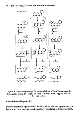 7
8 Biotechnologyfor Waste and Wastewater Treatment
MAJOR PATHWAY
OH
OH H
I/K A O +
J
I
t
&ZH
CHgCC0014
pKAOH
OH
OH
yy&i
1
0
CHjCCOOH
I I
HO1:lJ
I I
Figure 8. Proposed pathways for the metabolism of benz(a)anthracene by
Beijerinckia strain B1. Reprinted from Mahaffey, et al., App & Env Mic,
Oct. '88, p. 2421.
PhenanthreneDegradation
Polycycloaromatichydrocarbons in the environment are a great concern
because of their toxicity, carcinogenicity, resistance to biodegradation,
 