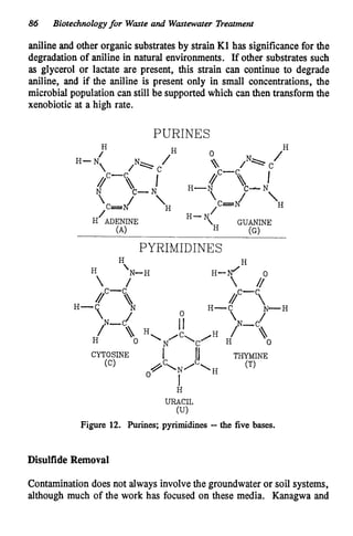 86 Biotechnologyfor Waste and Wastewater Treatment
aniline and other organic substrates by strain K1 has significancefor the
degradation of aniline in natural environments. If other substrates such
as glycerol or lactate are present, this strain can continue to degrade
aniline, and if the aniline is present only in small concentrations, the
microbial population can still be supported which can then transform the
xenobiotic at a high rate.
PURINES
H
/
H- N N
 /‘c
Jc- I
‘ C J 
N C- N
/
H
H ADENINE
(A)
0
N
,
 / I C

/” I
H-N C- N
H
PYRIMIDINES
H
(U)
URACIL
Figure 12. Purines; pyrimidines -the five bases.
Disulfide Removal
H
Contaminationdoes not always involvethe groundwater or soil systems,
although much of the work has focused on these media. Kanagwa and
 