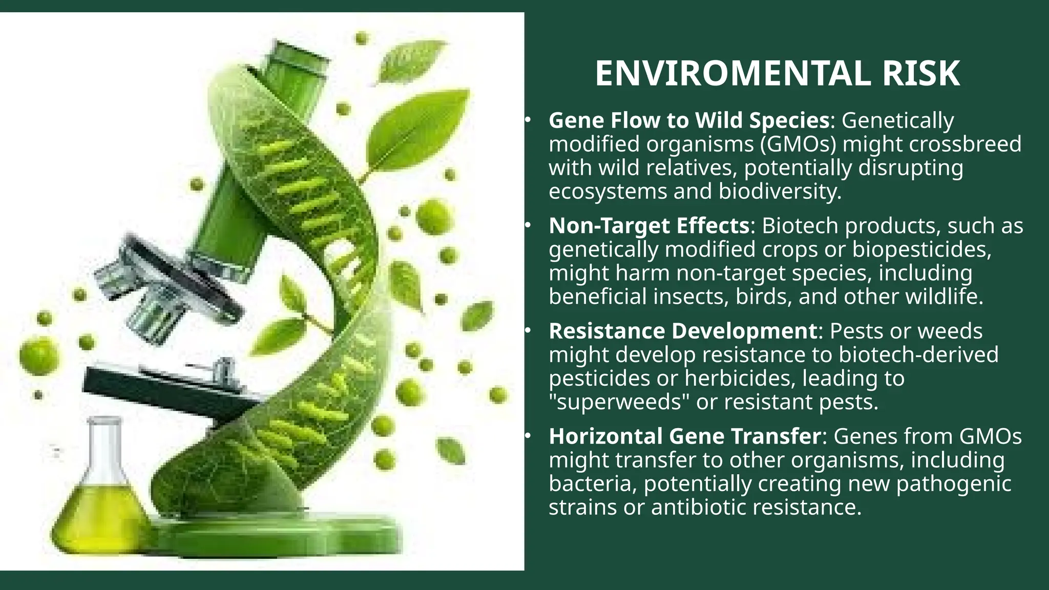ENVIROMENTAL RISK
• Gene Flow to Wild Species: Genetically
modified organisms (GMOs) might crossbreed
with wild relatives, potentially disrupting
ecosystems and biodiversity.
• Non-Target Effects: Biotech products, such as
genetically modified crops or biopesticides,
might harm non-target species, including
beneficial insects, birds, and other wildlife.
• Resistance Development: Pests or weeds
might develop resistance to biotech-derived
pesticides or herbicides, leading to
"superweeds" or resistant pests.
• Horizontal Gene Transfer: Genes from GMOs
might transfer to other organisms, including
bacteria, potentially creating new pathogenic
strains or antibiotic resistance.
 