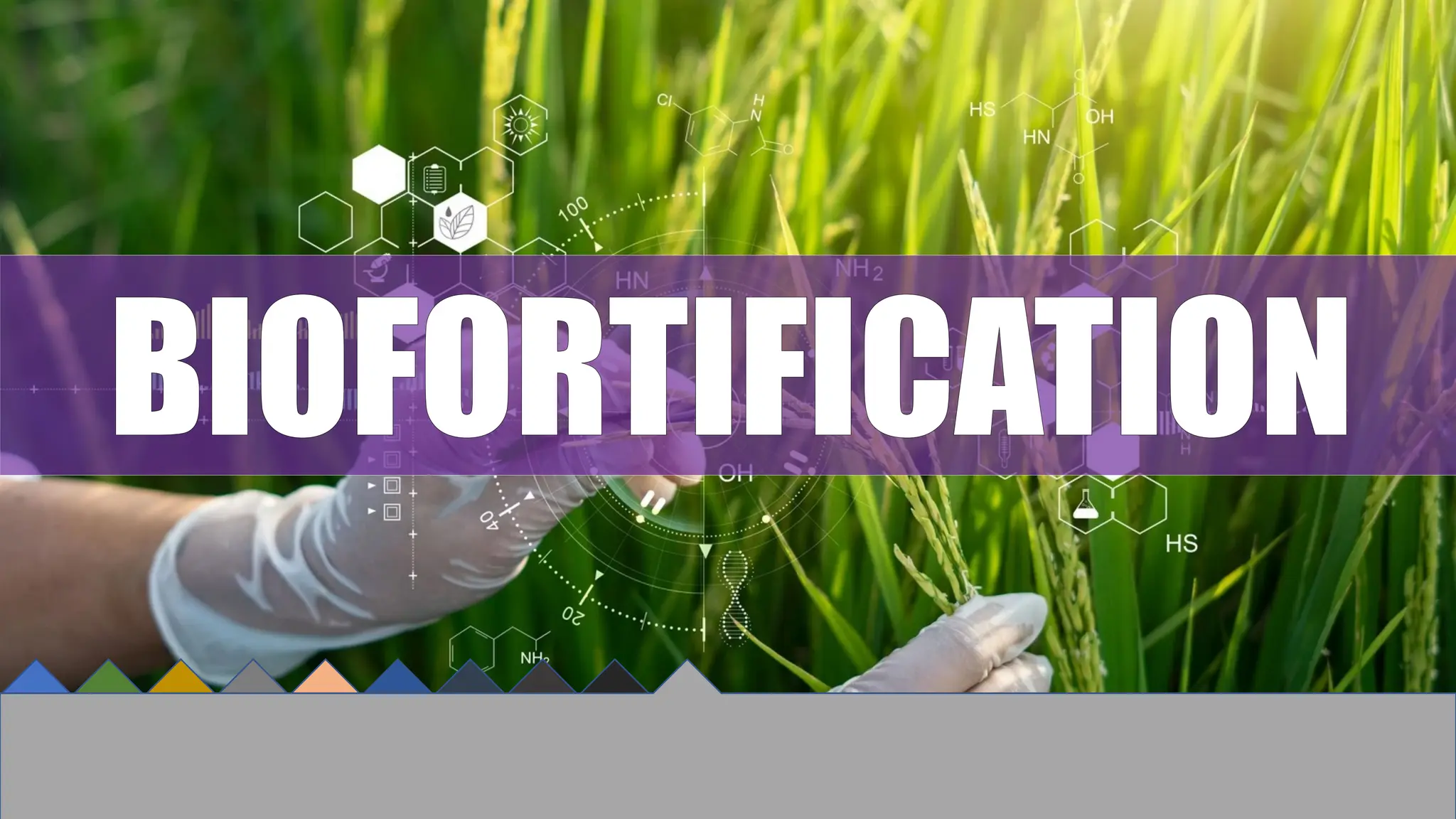 BIOFORTIFICATION
 