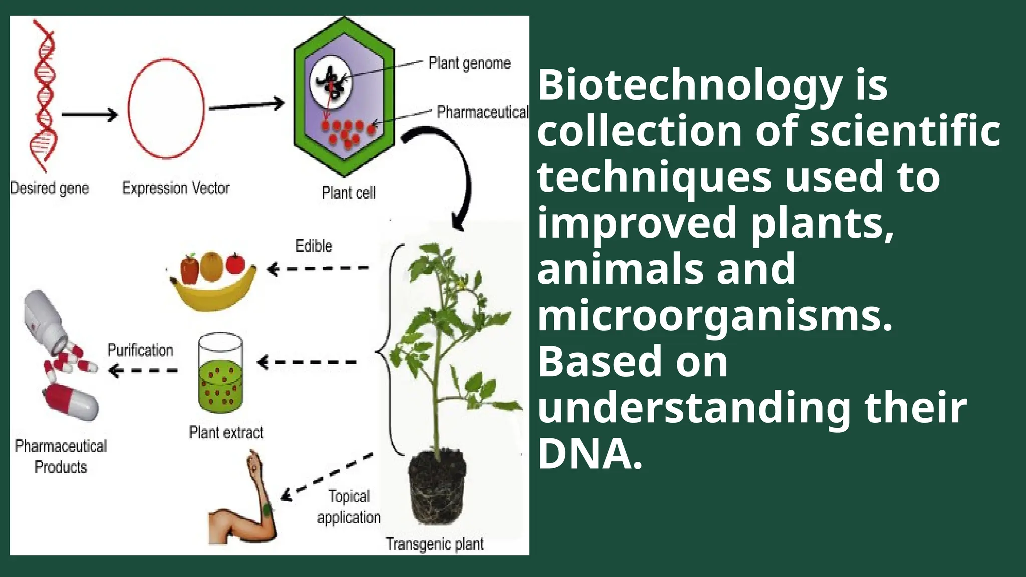 Biotechnology is
collection of scientific
techniques used to
improved plants,
animals and
microorganisms.
Based on
understanding their
DNA.
 