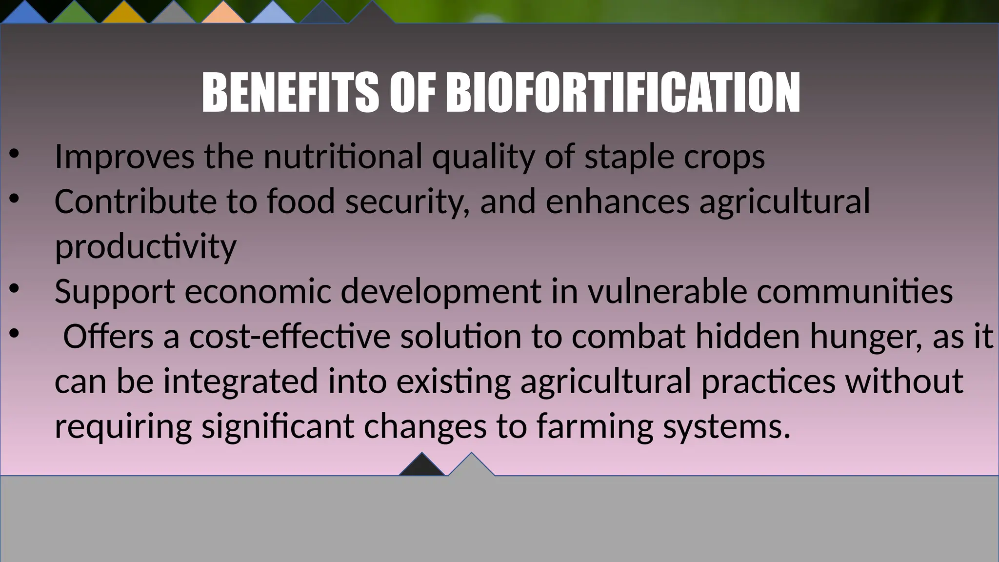 BENEFITS OF BIOFORTIFICATION
• Improves the nutritional quality of staple crops
• Contribute to food security, and enhances agricultural
productivity
• Support economic development in vulnerable communities
• Offers a cost-effective solution to combat hidden hunger, as it
can be integrated into existing agricultural practices without
requiring significant changes to farming systems.
 