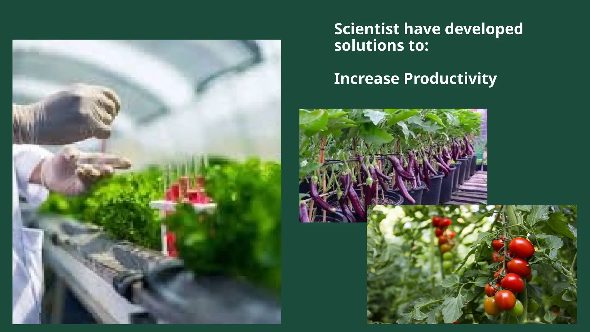 Scientist have developed
solutions to:
Increase Productivity
 