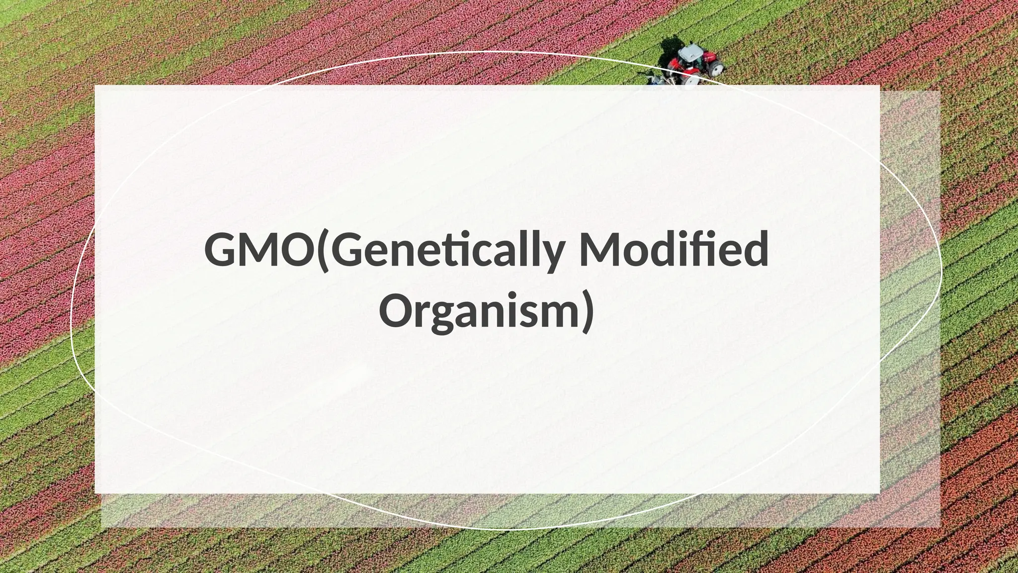 GMO(Genetically Modified
Organism)
 